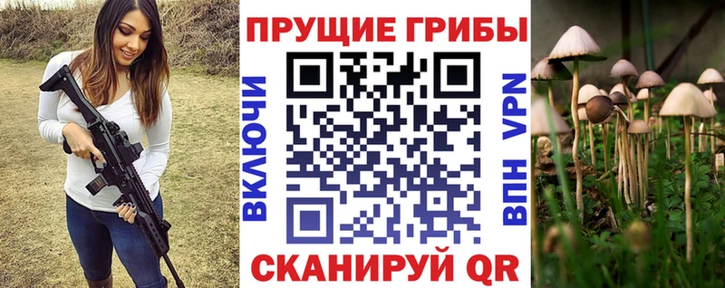 MEGA как зайти  Данилов  Псилоцибиновые грибы мухоморы 